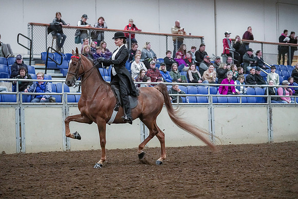 Spring Fling - Saturday - April 20, 2019  -  00428