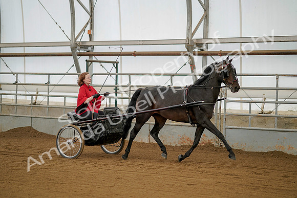 July 20, 2019 - 00195