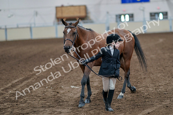 2020 - AB Morgan Horse - Fri, Sept 04 - 00907