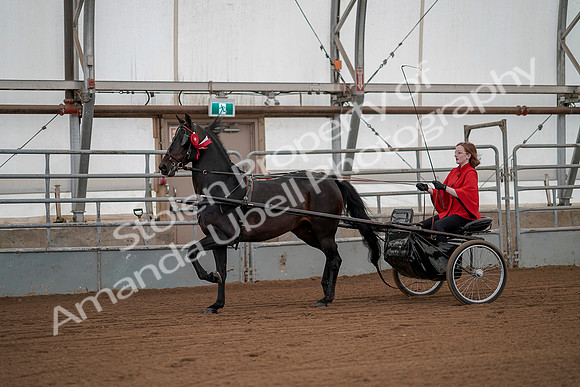July 20, 2019 - 00310