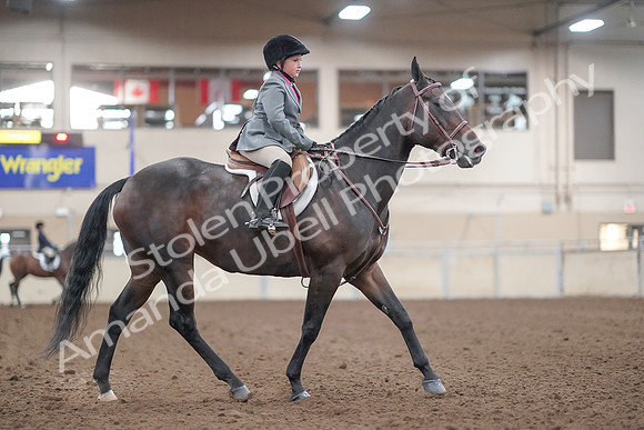 2019 Morgan Horse Show - Aug 31, 2019 - 19655