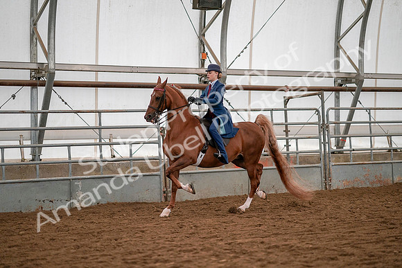 July 19, 2019 - 10351