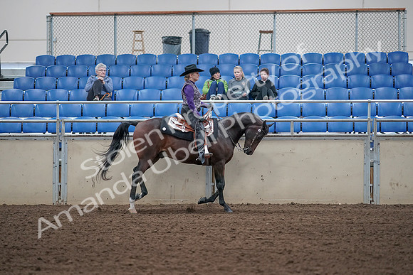 2019 Morgan Horse Show - Aug 31, 2019 - 10696