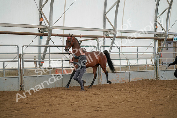 July 19, 2019 - 1231