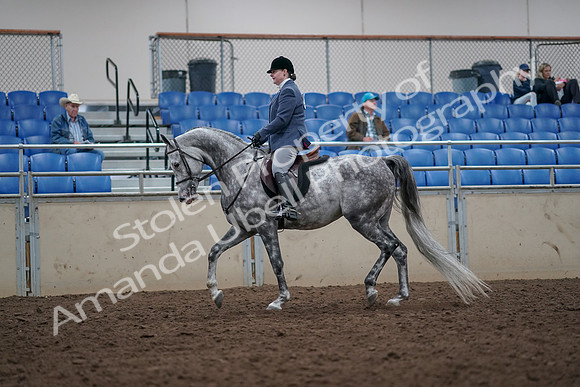 2019 Morgan Horse Show - Aug 31, 2019 - 14772