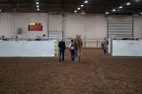 2019 Morgan Horse Show - Aug 31, 2019 - 02834
