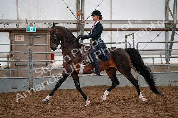 July 19, 2019 - 10409