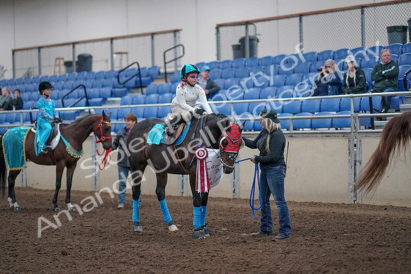 2019 Morgan Horse Show - Aug 31, 2019 - 10114