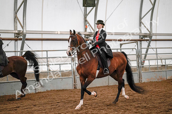 July 19, 2019 - 8797