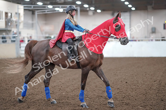 2019 Morgan Horse Show - Aug 31, 2019 - 09998