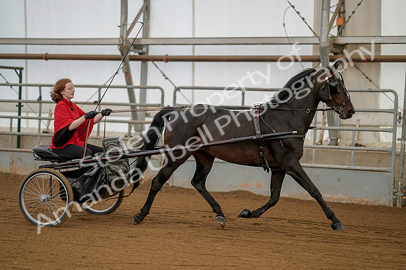 July 20, 2019 - 00240