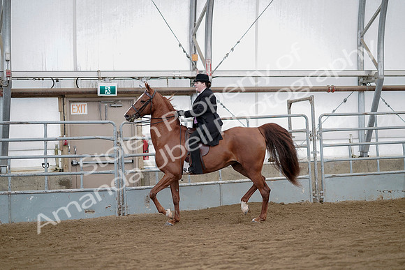 July 21, 2019 - 10478