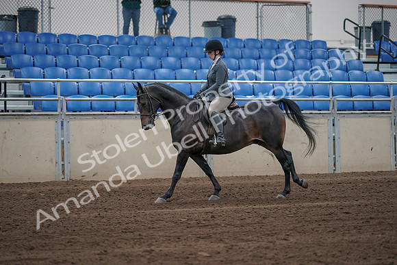 2019 Morgan Horse Show - Sept 01, 2019 - 10959