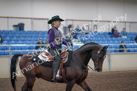 2019 Morgan Horse Show - Aug 31, 2019 - 10790