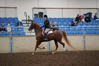 2019 Morgan Horse Show - Aug 31, 2019 - 13790