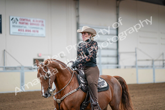2020 - AB Morgan Horse - Fri, Sept 04 - 08511