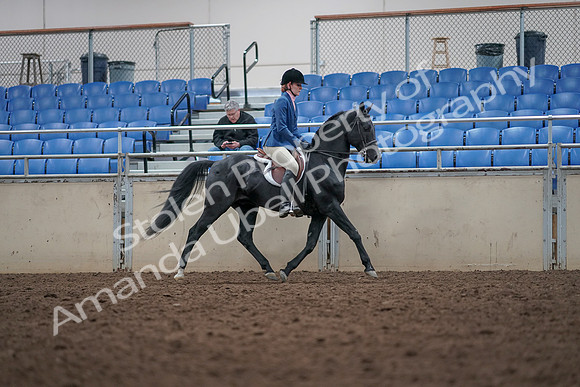 2019 Morgan Horse Show - Aug 31, 2019 - 16708