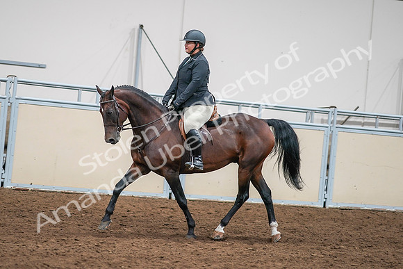 2020 - AB Morgan Horse - Sat, Sept 05 - 09333