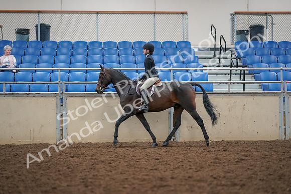 2019 Morgan Horse Show - Aug 30, 2019 - 23139