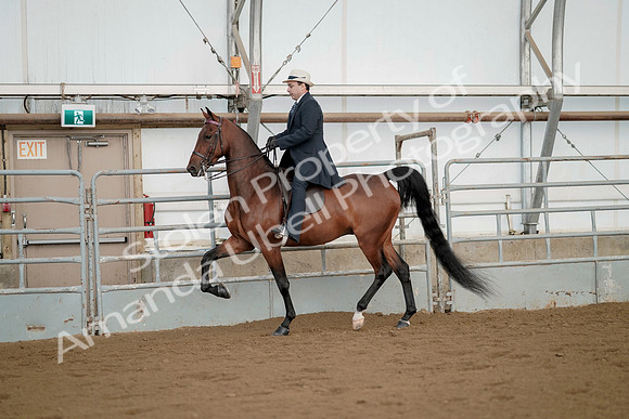July 21, 2019 - 01664