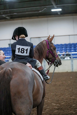 Spring Fling - Saturday - April 20, 2019  -  00108
