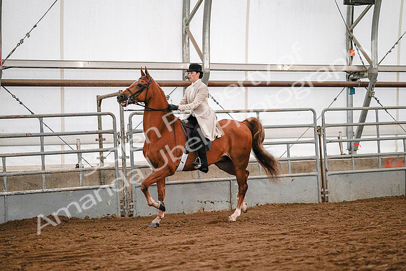 July 19, 2019 - 9011