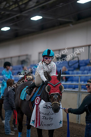 2019 Morgan Horse Show - Aug 31, 2019 - 10165