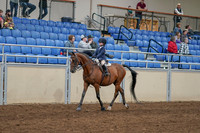 2020 - AB Morgan Horse - Sat, Sept 05 - 01742
