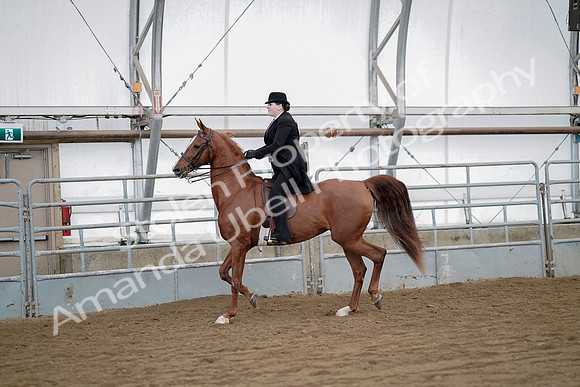 July 21, 2019 - 10470