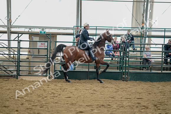 July 21, 2019 - 01869