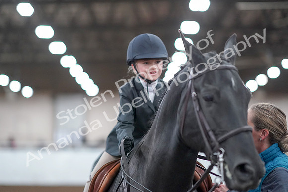 2019 Morgan Horse Show - Aug 31, 2019 - 19749