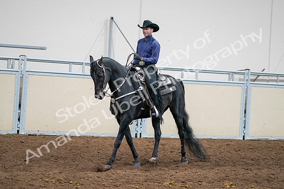 2020 - AB Morgan Horse - Sun, Sept 06 - 07598