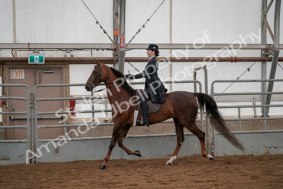 July 19, 2019 - 3009