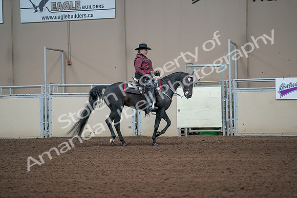 2019 Morgan Horse Show - Aug 31, 2019 - 10726