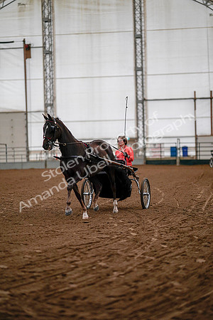 July 19, 2019 - 6703