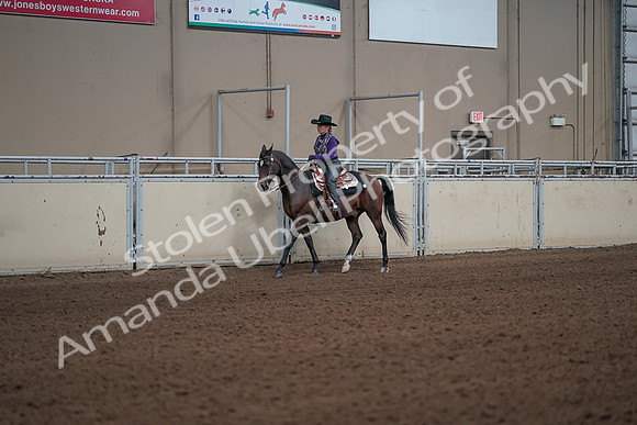 2019 Morgan Horse Show - Aug 31, 2019 - 10573