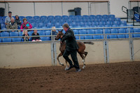 2019 Morgan Horse Show - Aug 30, 2019 - 24651