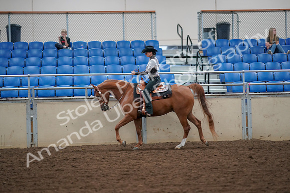 2019 Morgan Horse Show - Aug 30, 2019 - 16849