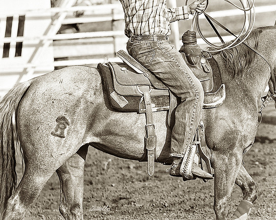 rodeo - 047