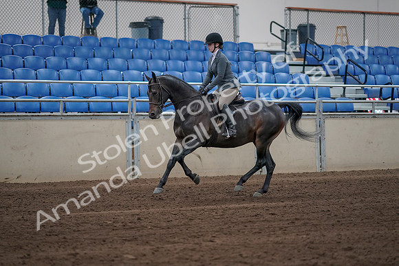 2019 Morgan Horse Show - Sept 01, 2019 - 10955