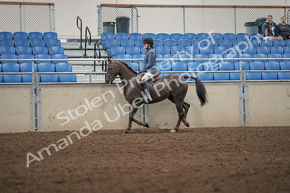 2019 Morgan Horse Show - Aug 31, 2019 - 04900