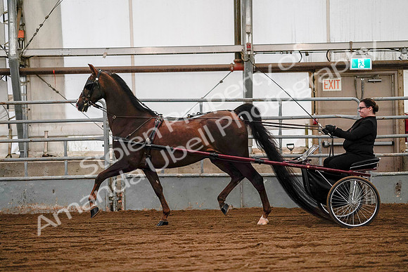 July 19, 2019 - 7053