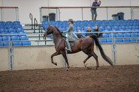 2019 Morgan Horse Show - Aug 31, 2019 - 07665