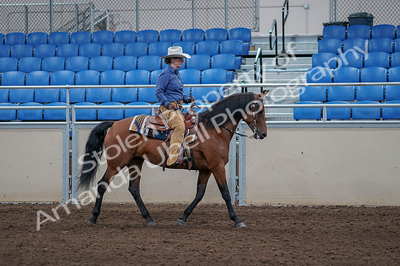 2020 - AB Morgan Horse - Fri, Sept 04 - 00202