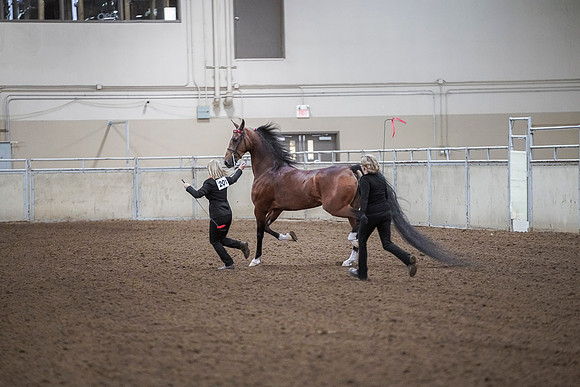 Spring Fling - Friday - April 19, 2019  -  03732