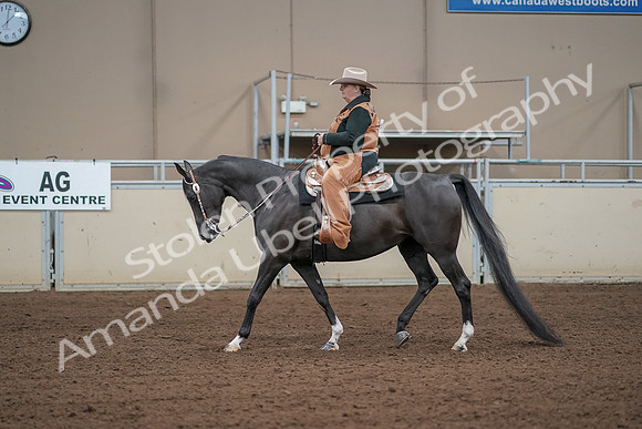 2019 Morgan Horse Show - Aug 31, 2019 - 06063