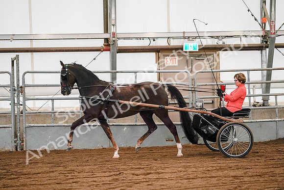 July 19, 2019 - 6993