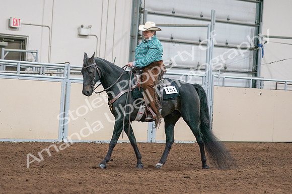 2020 - AB Morgan Horse - Sun, Sept 06 - 01577