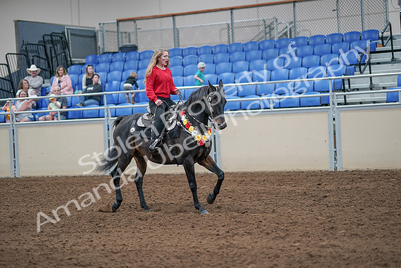 2020 - AB Morgan Horse - Sat, Sept 05 - 10509