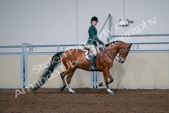 2020 - AB Morgan Horse - Fri, Sept 04 - 01872
